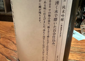 alt 3