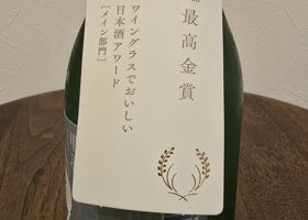 alt 3