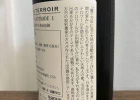 alt 3