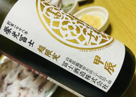 alt 3