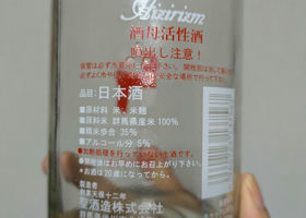 alt 2