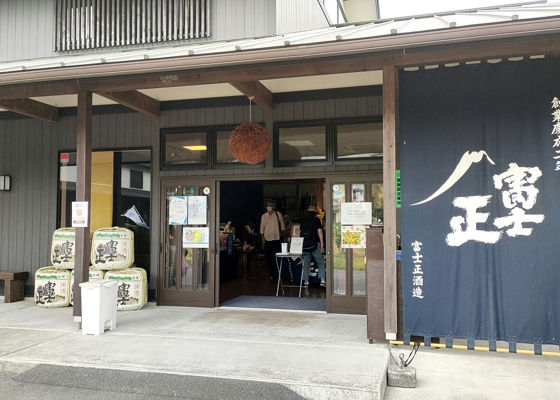alt 1