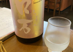 alt 1