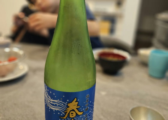 alt 1
