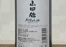 alt 3