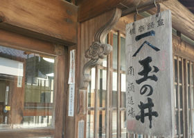 alt 3