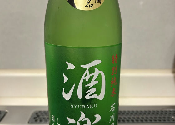 alt 1