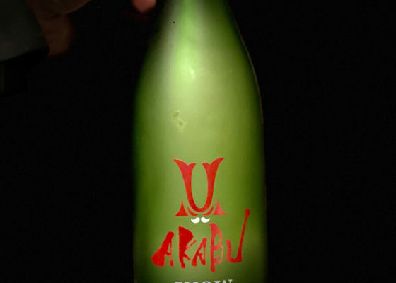 alt 1