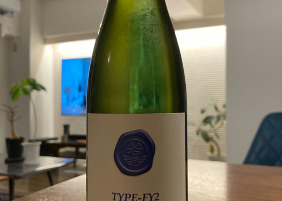 Type-FY2 チェックイン 1