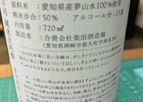 alt 3