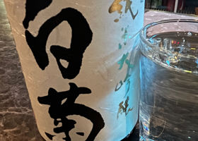 大典白菊 チェックイン 1