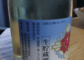 alt 3