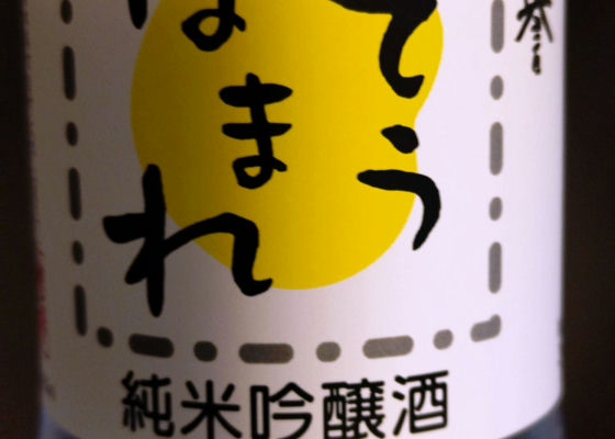 alt 1