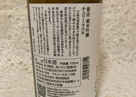 alt 2