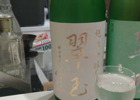 alt 2
