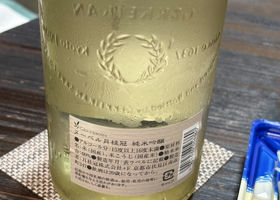 alt 3