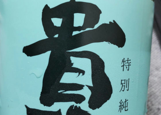 alt 1