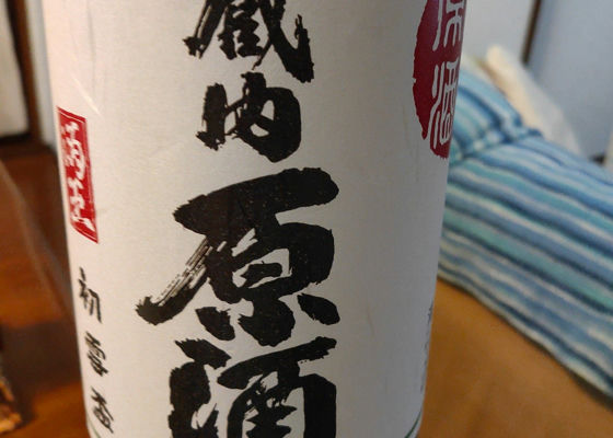 alt 1