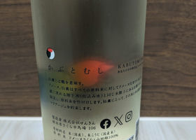 alt 1