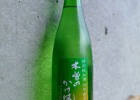alt 1