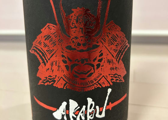 alt 1