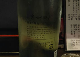 alt 1