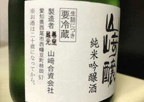 alt 3