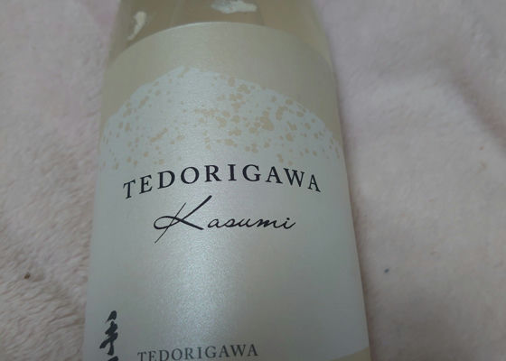 Tedorigawa Check-in 1