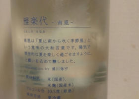 alt 1
