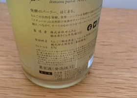 alt 3