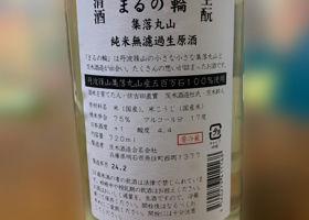 alt 3
