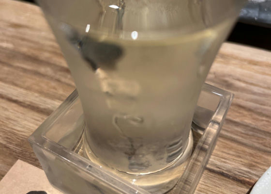 alt 1