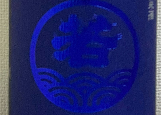alt 1