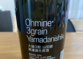 大嶺 チェックイン 2