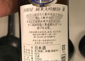 alt 2