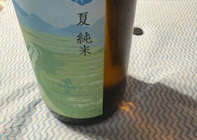 alt 3