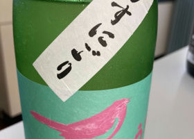 alt 3