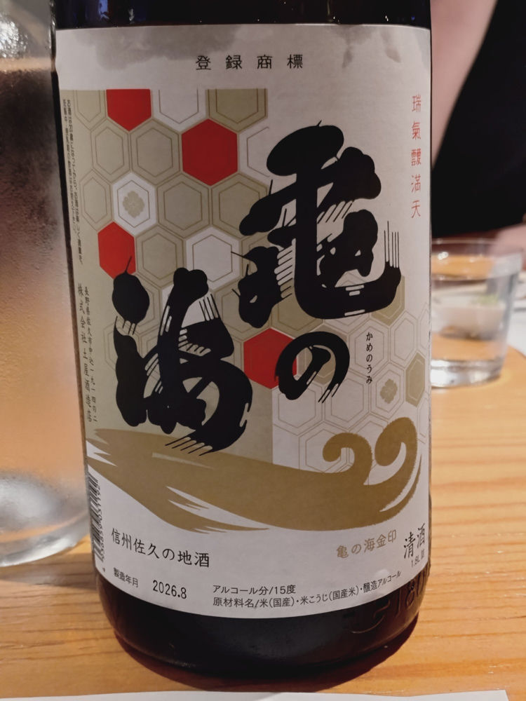 亀の海 チェックイン 1