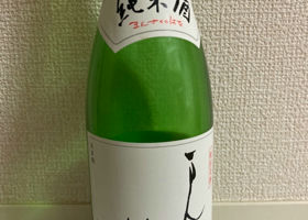 alt 1