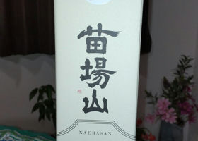 Naebayama 签到 3