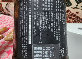 alt 3