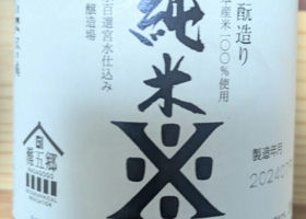 alt 1