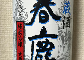 alt 1