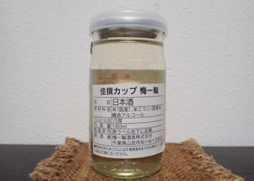 alt 3