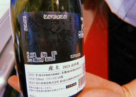 alt 2