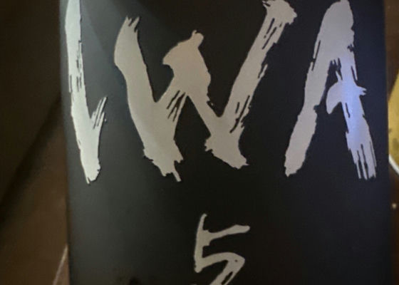 alt 1