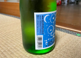 alt 3