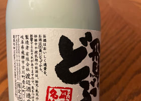 飛騨のどぶ チェックイン 3