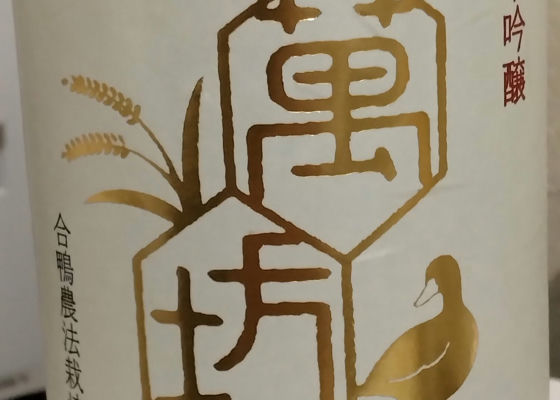 alt 1