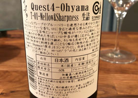 quest4 チェックイン 2